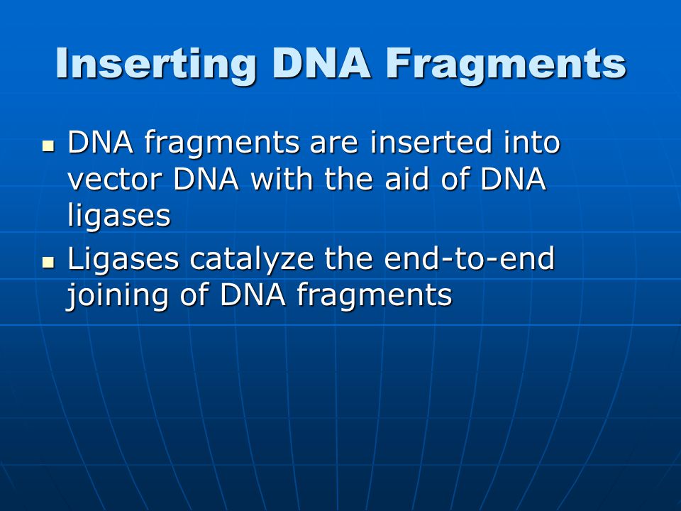 Inserting DNA Fragments DNA fragments are inserted into vector DNA with the aid of DNA ligases DNA fragments are inserted into vector DNA with the aid of DNA ligases Ligases catalyze the end-to-end joining of DNA fragments Ligases catalyze the end-to-end joining of DNA fragments
