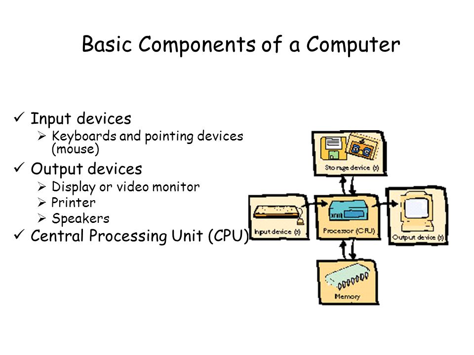 Basic Components of a Computer Input devices  Keyboards and pointing devices (mouse) Output devices  Display or video monitor  Printer  Speakers Central Processing Unit (CPU)