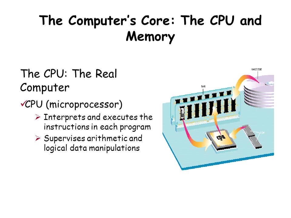 The Computer’s Core: The CPU and Memory The CPU: The Real Computer CPU (microprocessor)  Interprets and executes the instructions in each program  Supervises arithmetic and logical data manipulations