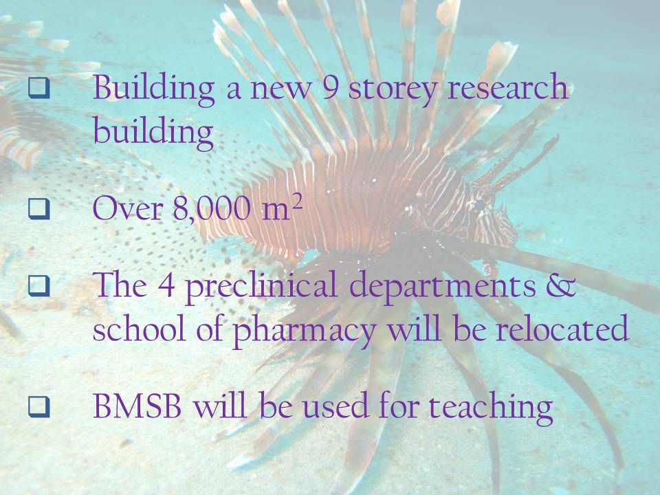  Building a new 9 storey research building  Over 8,000 m 2  The 4 preclinical departments & school of pharmacy will be relocated  BMSB will be used for teaching