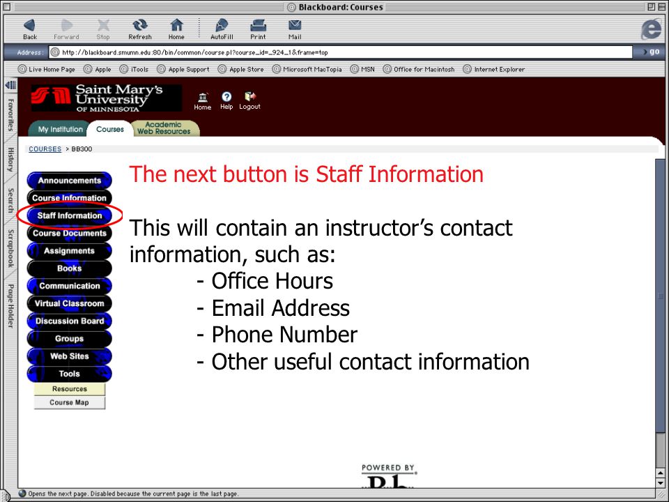 Staff Information The next button is Staff Information This will contain an instructor’s contact information, such as: - Office Hours -  Address - Phone Number - Other useful contact information