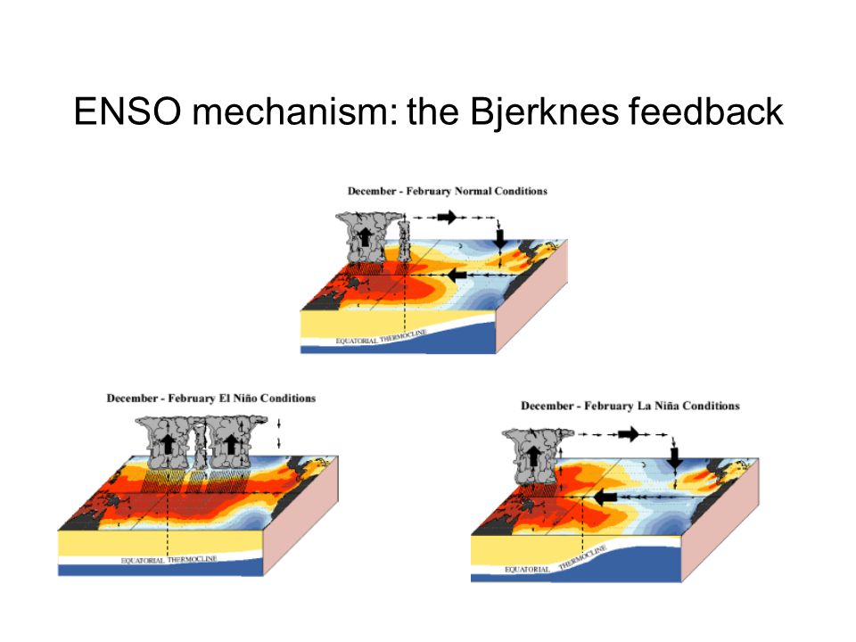 ENSO mechanism: the Bjerknes feedback