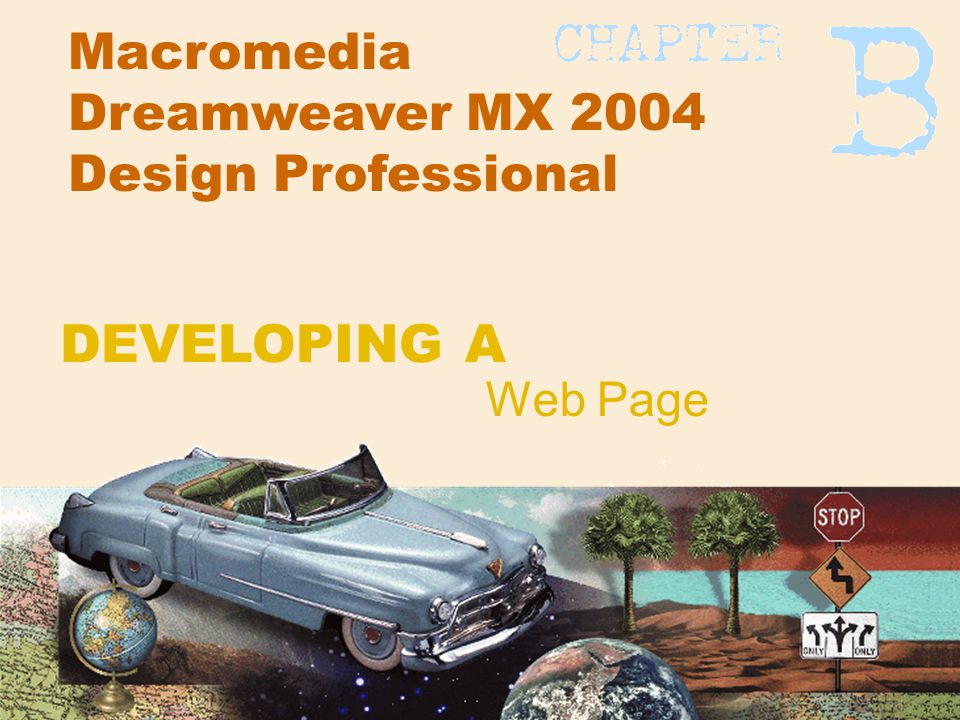 Macromedia Dreamweaver MX 2004 Design Professional Web Page DEVELOPING A