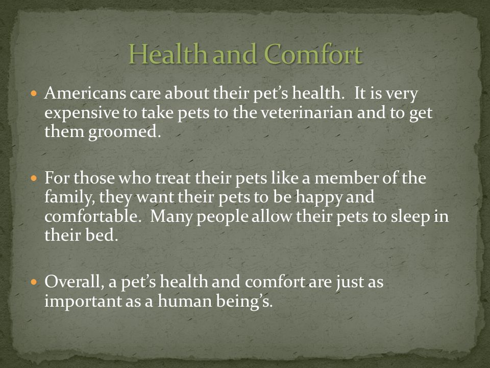 Americans care about their pet’s health.
