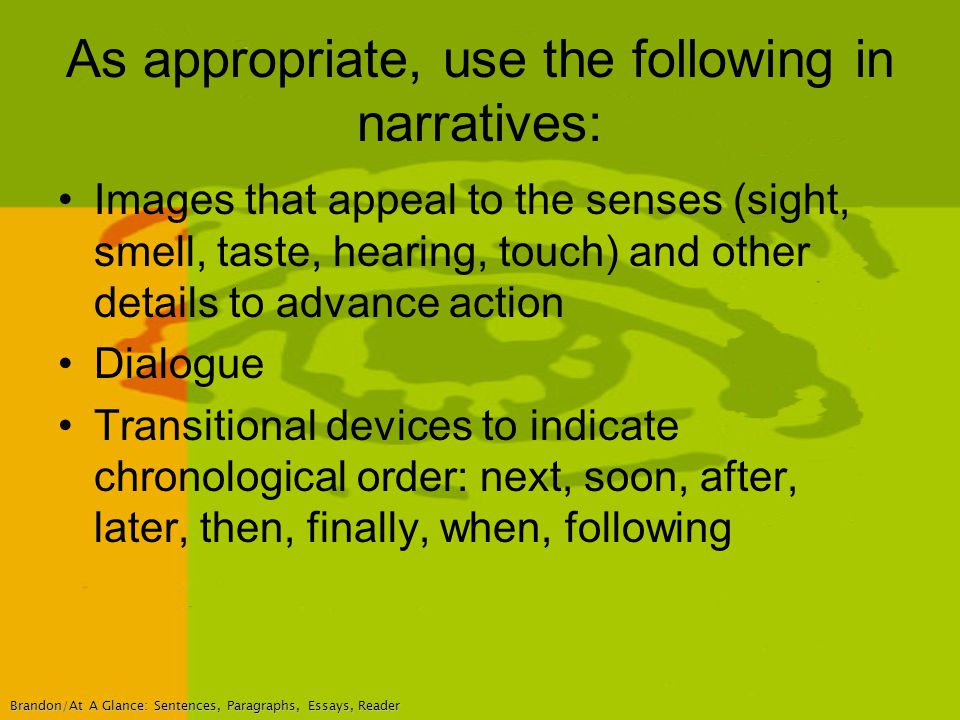 scabies essay scabies essay