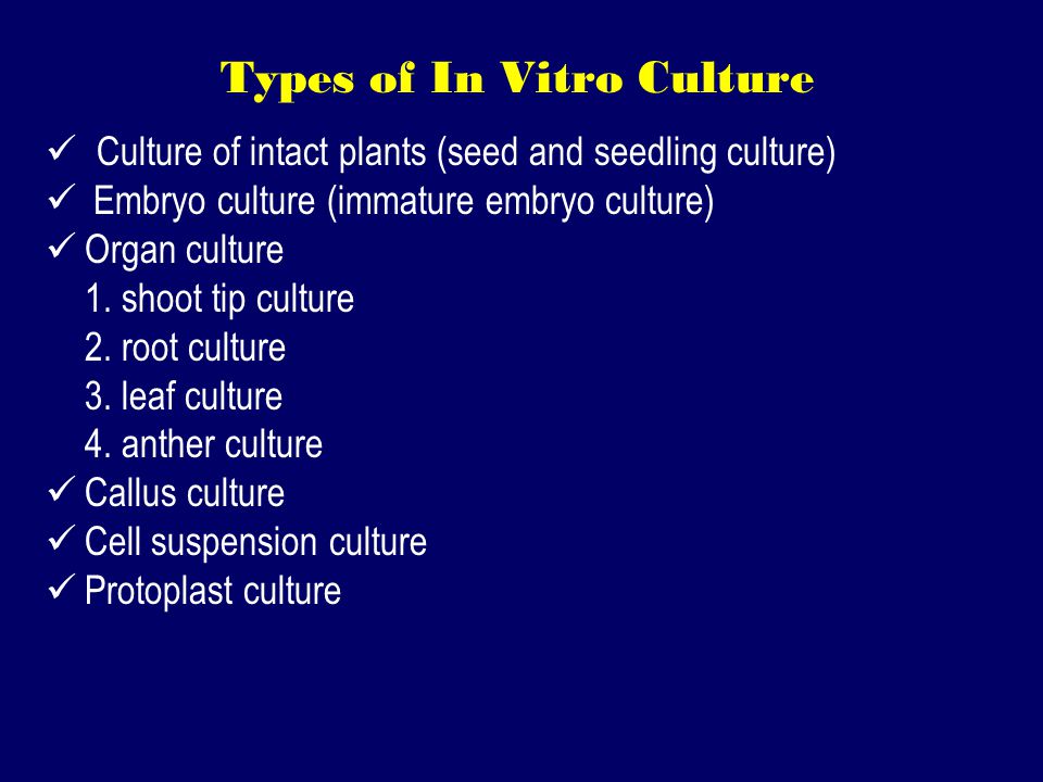 Types of In Vitro Culture Culture of intact plants (seed and seedling culture) Embryo culture (immature embryo culture) Organ culture 1.
