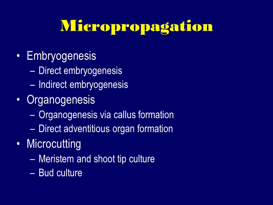 Micropropagation Embryogenesis –Direct embryogenesis –Indirect embryogenesis Organogenesis –Organogenesis via callus formation –Direct adventitious organ formation Microcutting –Meristem and shoot tip culture –Bud culture