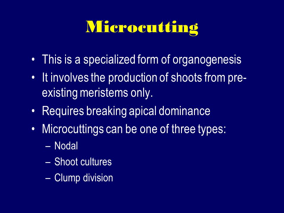 Microcutting This is a specialized form of organogenesis It involves the production of shoots from pre- existing meristems only.