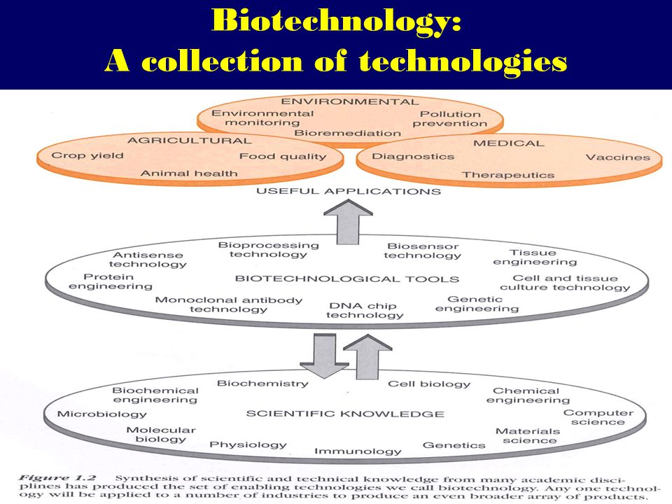 Biotechnology: A collection of technologies