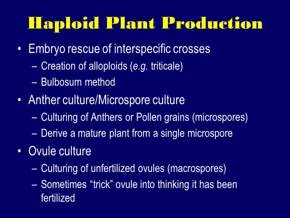 Haploid Plant Production Embryo rescue of interspecific crosses –Creation of alloploids ( e.g.