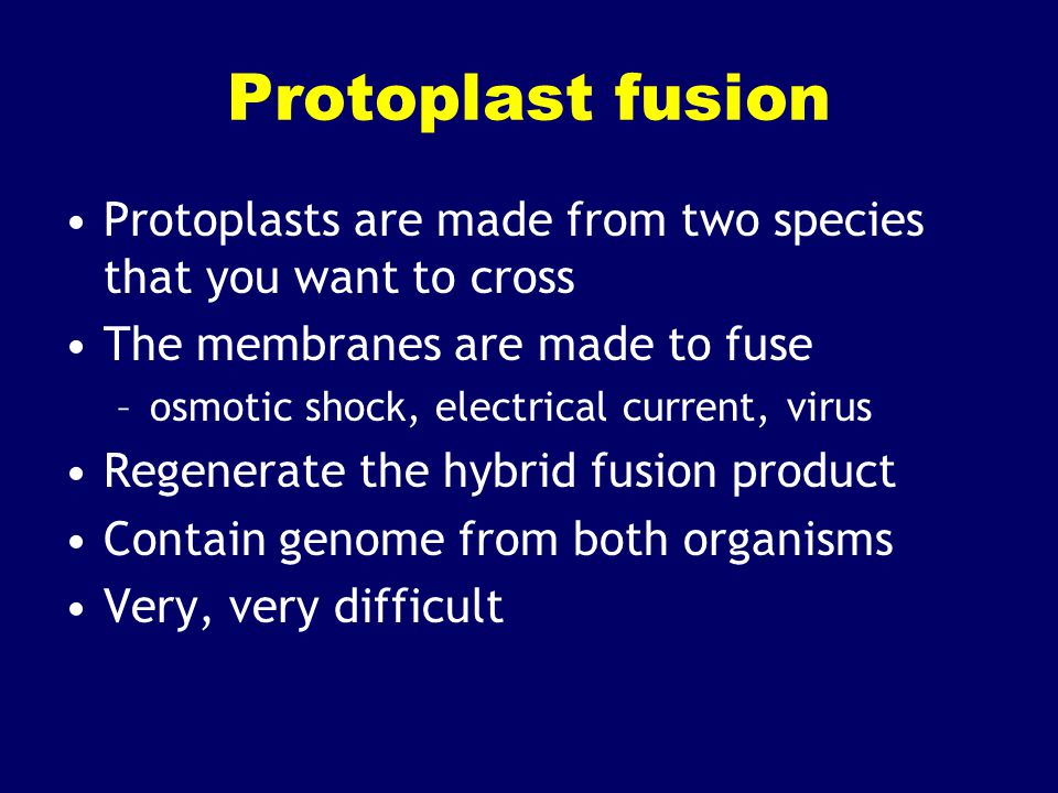 Protoplast fusion Protoplasts are made from two species that you want to cross The membranes are made to fuse –osmotic shock, electrical current, virus Regenerate the hybrid fusion product Contain genome from both organisms Very, very difficult