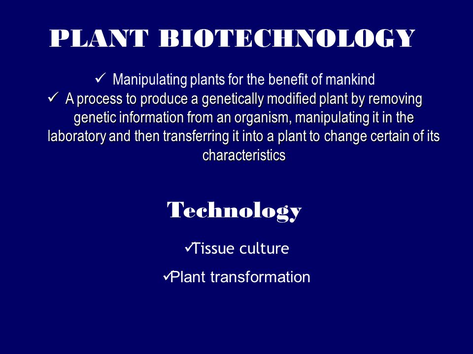PLANT BIOTECHNOLOGY Manipulating plants for the benefit of mankind A process to produce a genetically modified plant by removing genetic information from an organism, manipulating it in the laboratory and then transferring it into a plant to change certain of its characteristics A process to produce a genetically modified plant by removing genetic information from an organism, manipulating it in the laboratory and then transferring it into a plant to change certain of its characteristics Tissue culture Plant transformation Technology