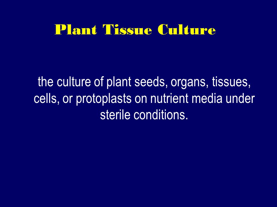 Plant Tissue Culture the culture of plant seeds, organs, tissues, cells, or protoplasts on nutrient media under sterile conditions.