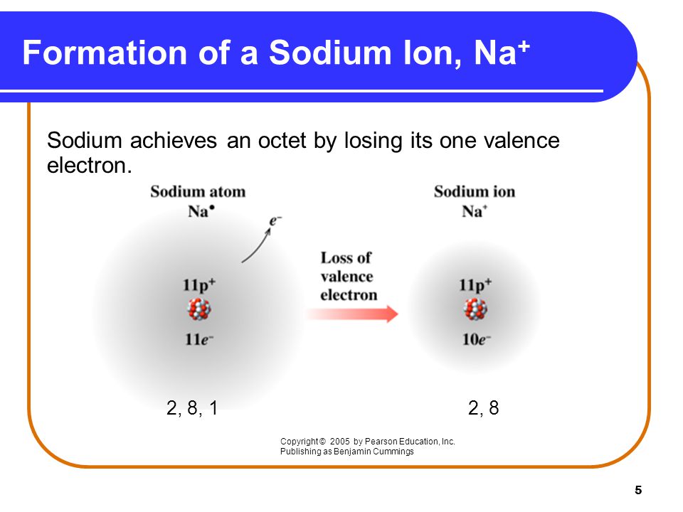 5 Formation of a Sodium Ion, Na + Sodium achieves an octet by losing its one valence electron.