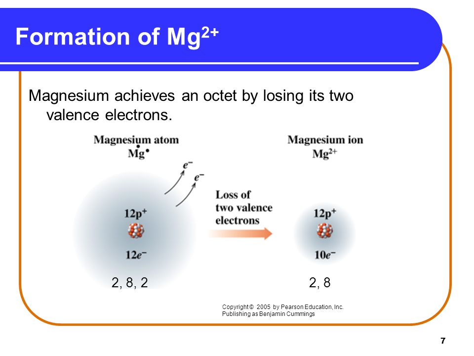 7 Formation of Mg 2+ Magnesium achieves an octet by losing its two valence electrons.