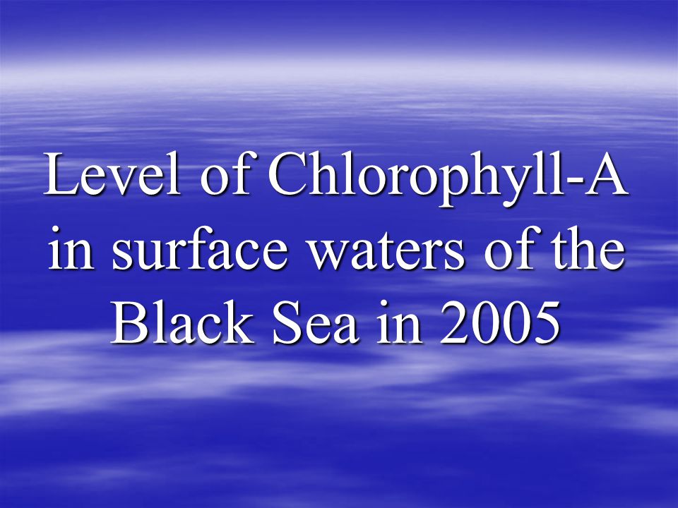 Level of Chlorophyll-A in surface waters of the Black Sea in 2005
