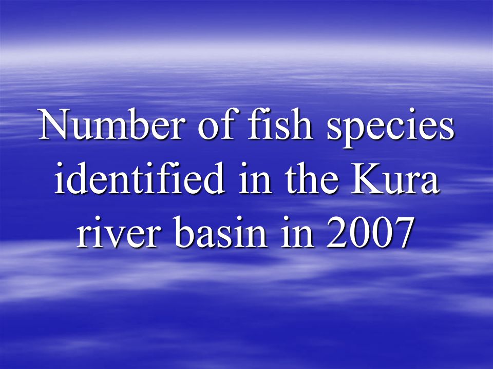 Number of fish species identified in the Kura river basin in 2007