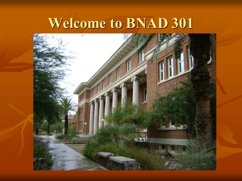 Welcome to BNAD 301
