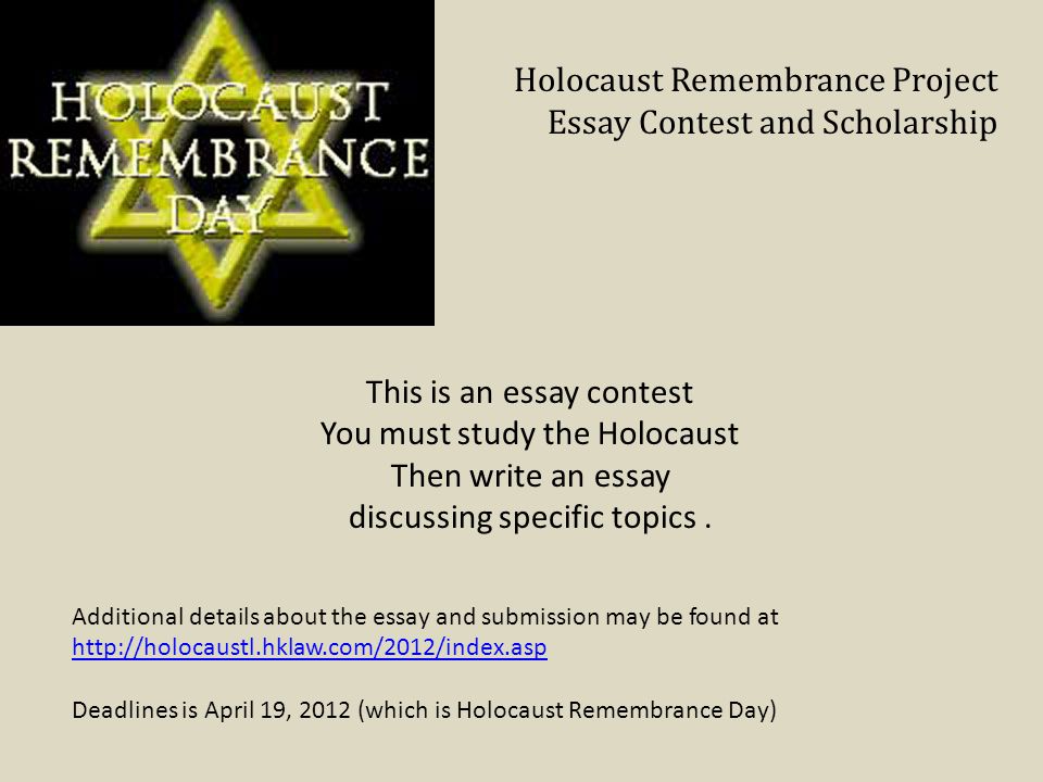 Holocaust Essay Topics
