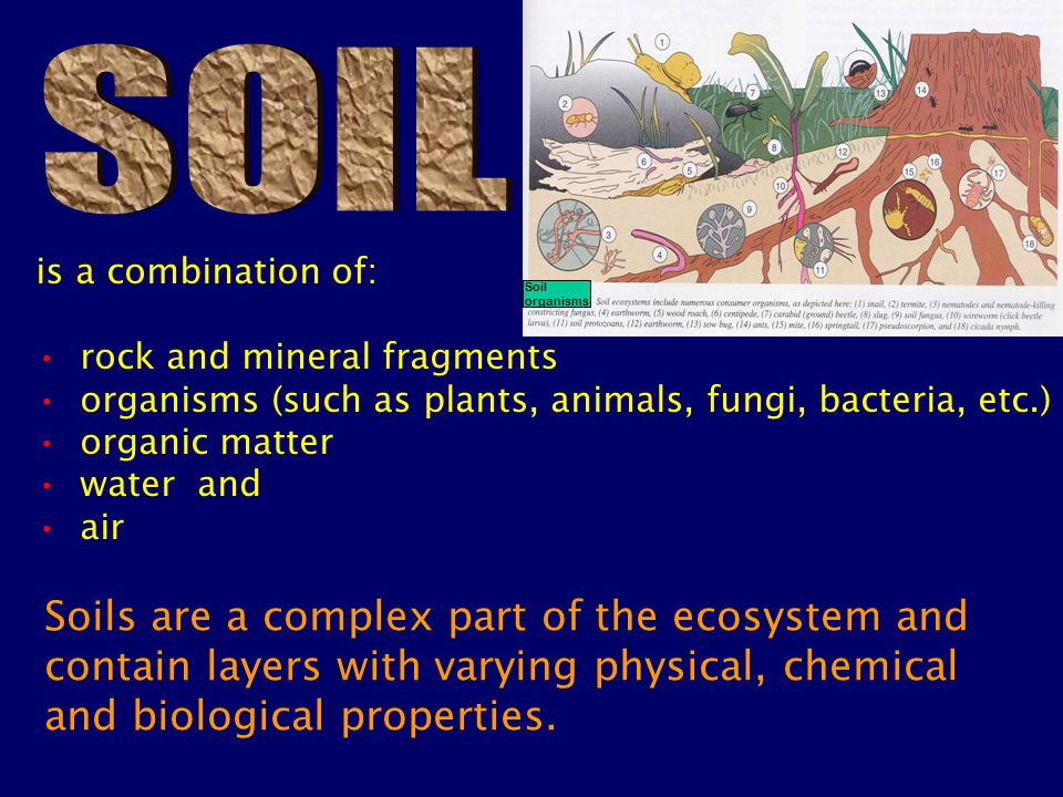 is a combination of: rock and mineral fragments organisms (such as plants, animals, fungi, bacteria, etc.) organic matter water and air Soils are a complex part of the ecosystem and contain layers with varying physical, chemical and biological properties.
