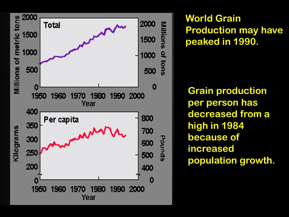World Grain Production may have peaked in 1990.