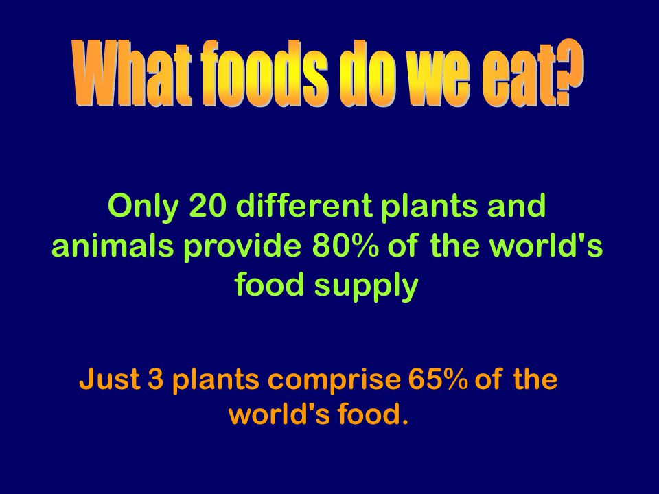 Only 20 different plants and animals provide 80% of the world s food supply Just 3 plants comprise 65% of the world s food.