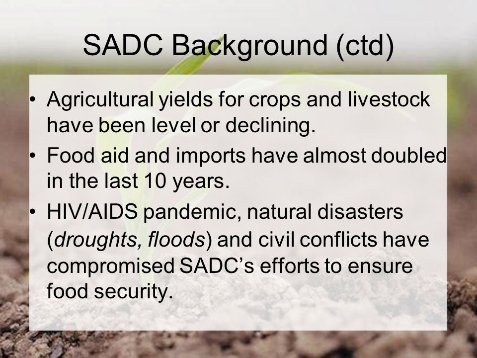 SADC Background (ctd) Agricultural yields for crops and livestock have been level or declining.