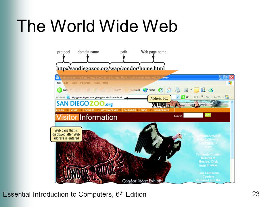 Essential Introduction to Computers, 6 th Edition 23 The World Wide Web