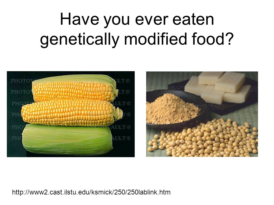 Have you ever eaten genetically modified food.