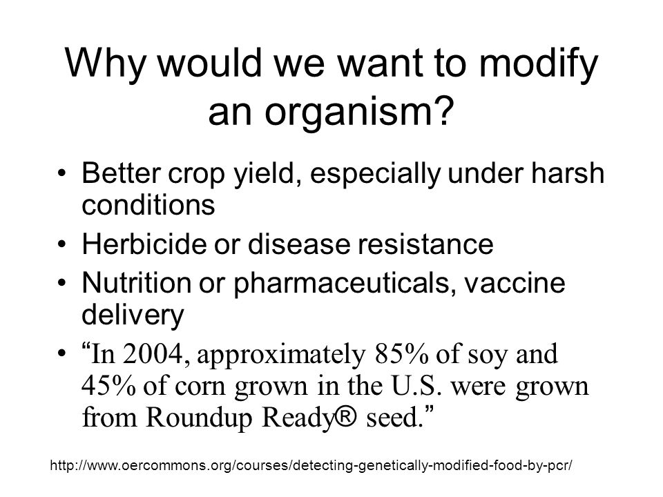 Why would we want to modify an organism.