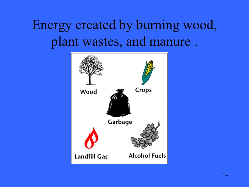 14 Energy created by burning wood, plant wastes, and manure.