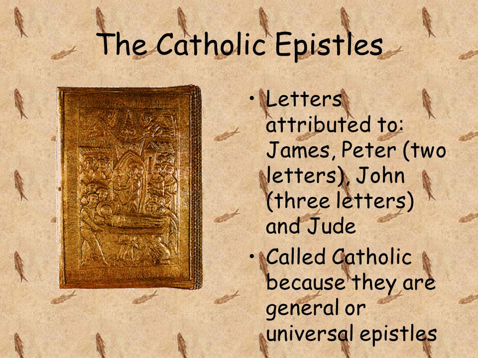 The Catholic Epistles Letters attributed to: James, Peter (two letters), John (three letters) and Jude Called Catholic because they are general or universal epistles