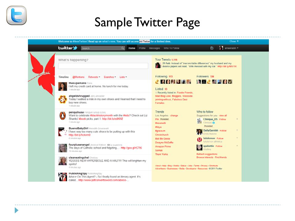 Sample Twitter Page 9
