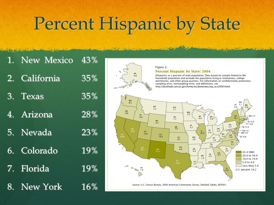 Percent Hispanic by State 1.New Mexico 43% 2.California 35% 3.Texas 35% 4.Arizona 28% 5.Nevada 23% 6.Colorado 19% 7.Florida 19% 8.New York 16%