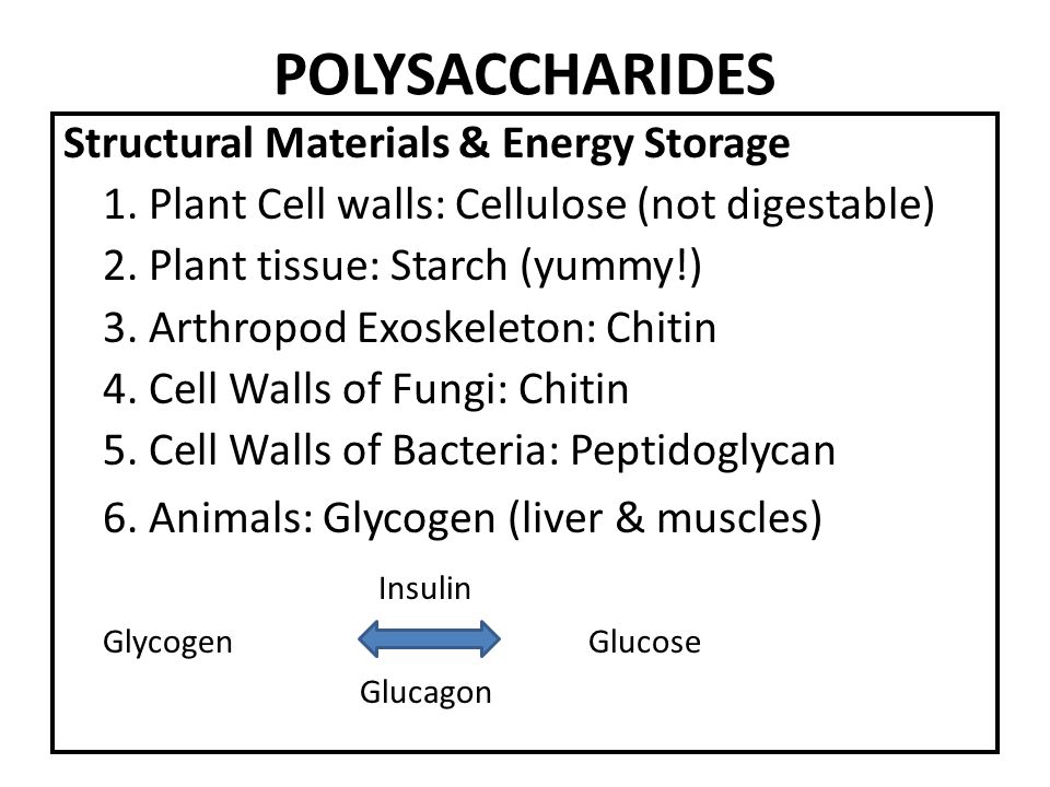 structural polysaccharides structural polysaccharides