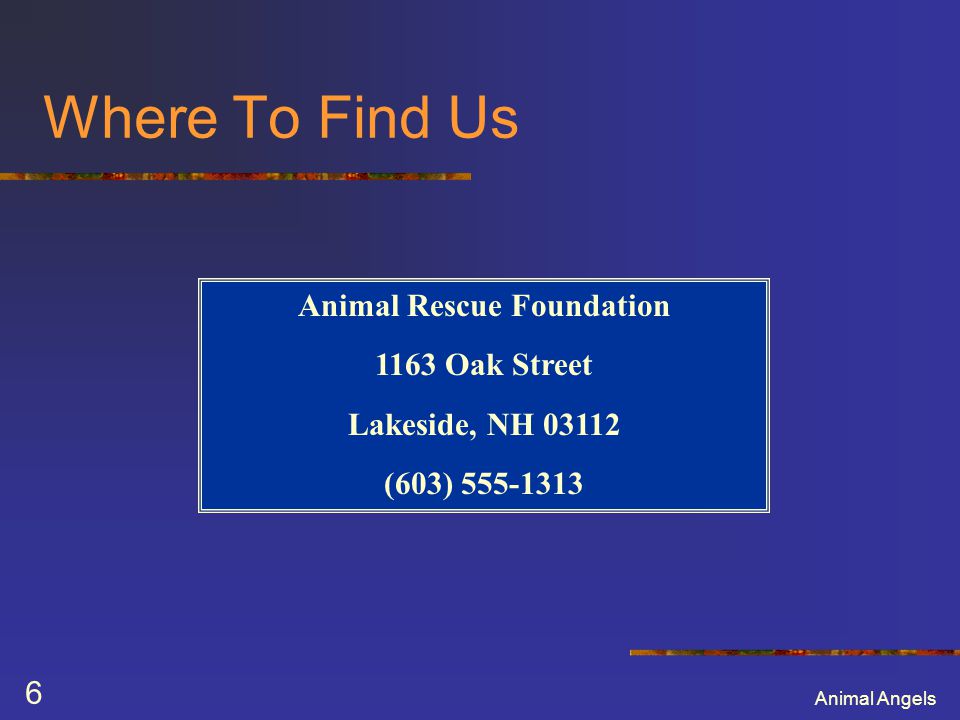 Animal Angels 6 Where To Find Us Animal Rescue Foundation 1163 Oak Street Lakeside, NH (603)