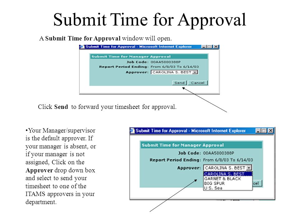 Submit Time for Approval A Submit Time for Approval window will open.