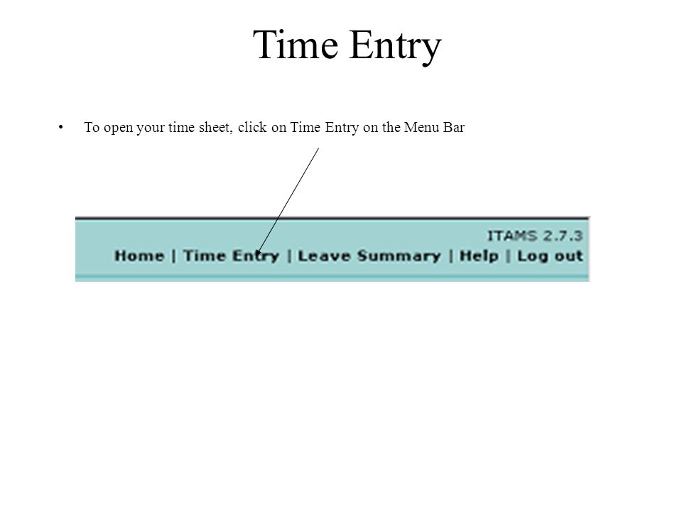 Time Entry To open your time sheet, click on Time Entry on the Menu Bar
