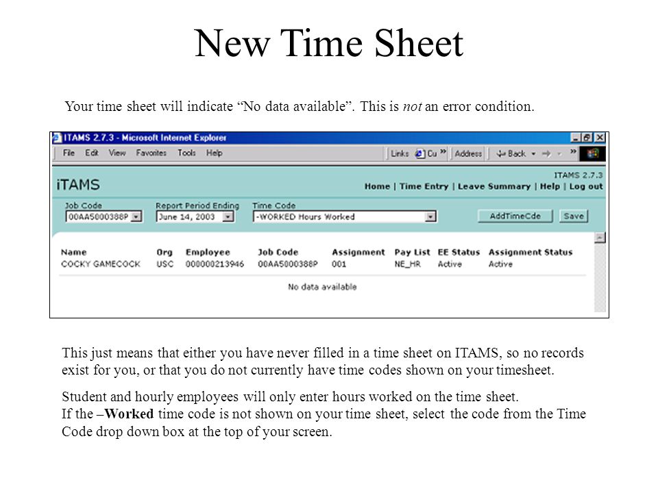 New Time Sheet This just means that either you have never filled in a time sheet on ITAMS, so no records exist for you, or that you do not currently have time codes shown on your timesheet.