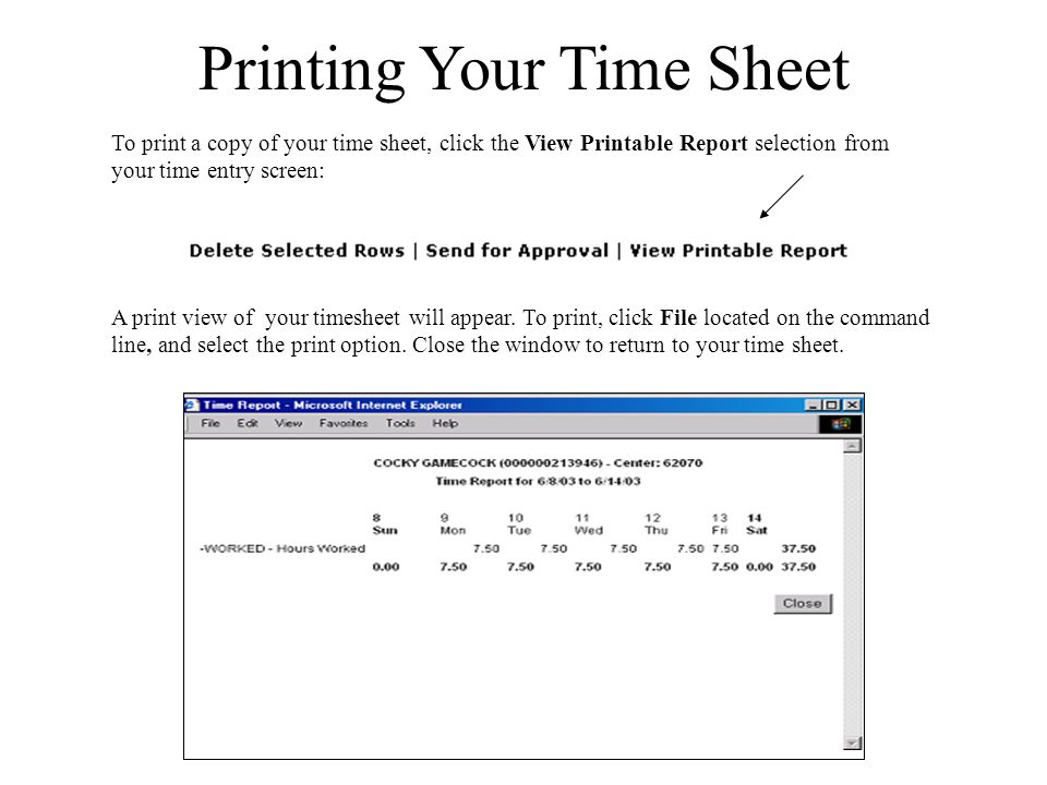 Printing Your Time Sheet To print a copy of your time sheet, click the View Printable Report selection from your time entry screen: A print view of your timesheet will appear.