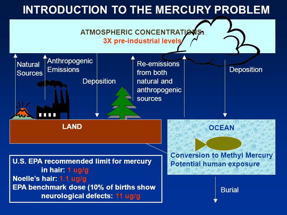 INTRODUCTION TO THE MERCURY PROBLEM ATMOSPHERIC CONCENTRATIONS: 3X pre-industrial levels Deposition Burial Re-emissions from both natural and anthropogenic sources Anthropogenic Emissions Natural Sources Deposition Conversion to Methyl Mercury Potential human exposure LAND OCEAN U.S.