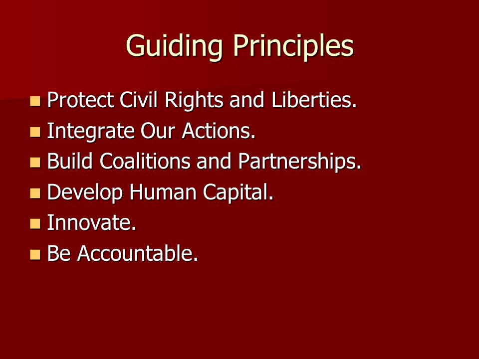 Guiding Principles Protect Civil Rights and Liberties.