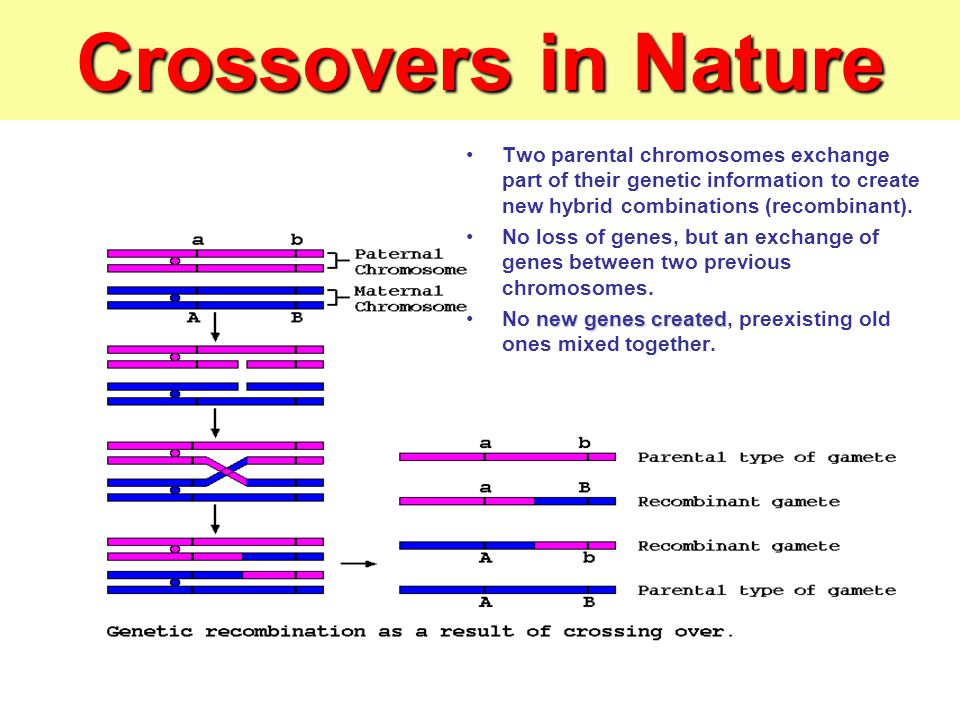 slide_26.jpg