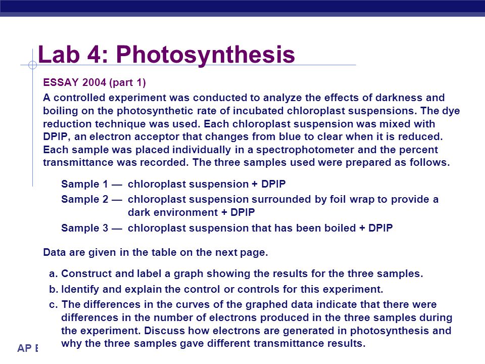 short essay on photosynthesis