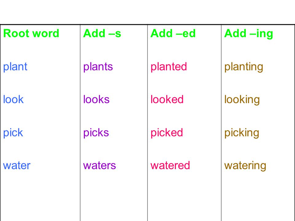 Root word plant look pick water Add –s plants looks picks waters Add –ed planted looked picked watered Add –ing planting looking picking watering