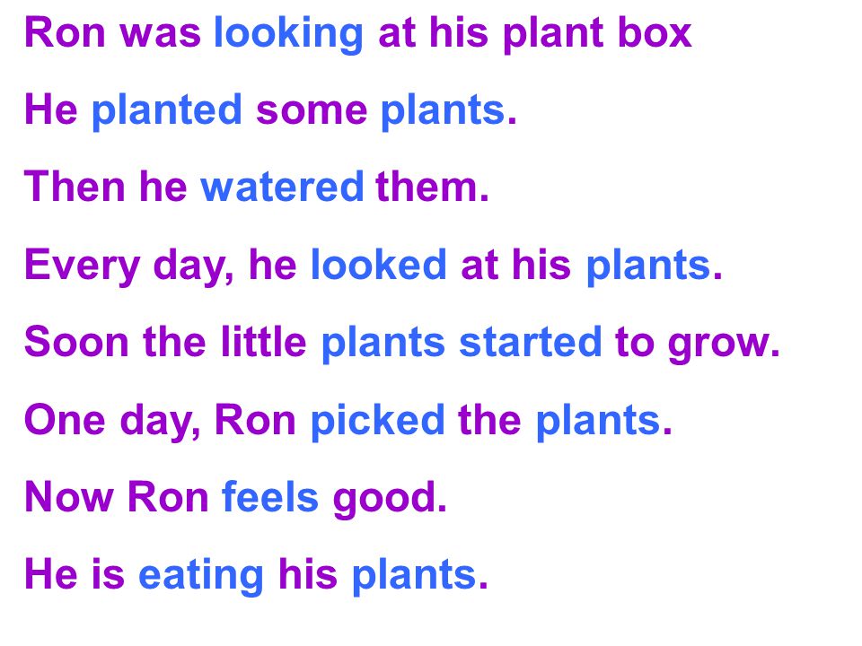 Ron was looking at his plant box He planted some plants.