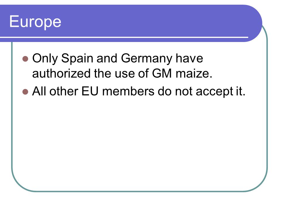 Europe Only Spain and Germany have authorized the use of GM maize.
