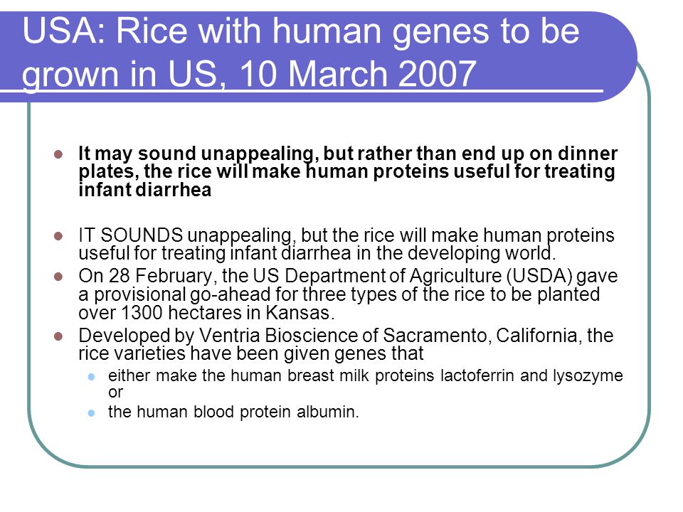 USA: Rice with human genes to be grown in US, 10 March 2007 It may sound unappealing, but rather than end up on dinner plates, the rice will make human proteins useful for treating infant diarrhea IT SOUNDS unappealing, but the rice will make human proteins useful for treating infant diarrhea in the developing world.