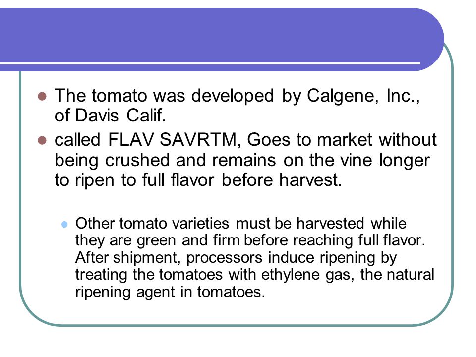 The tomato was developed by Calgene, Inc., of Davis Calif.