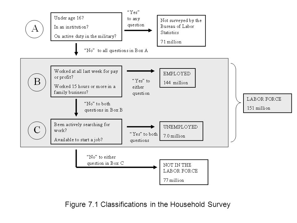 Figure 7.1 Classifications in the Household Survey